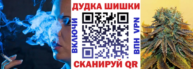 Codein Кедровый