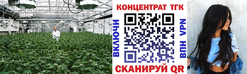 ТГК вейп с тгк  Купить  Кедровый 
